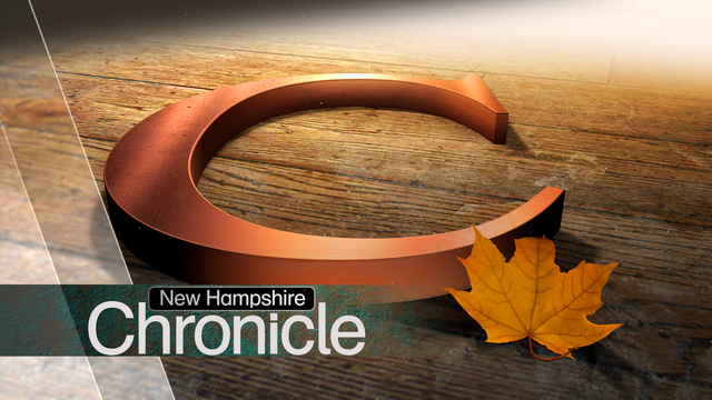 Leaf - My New Hampshire Chronicle Television Experience