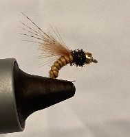 caddis emerger