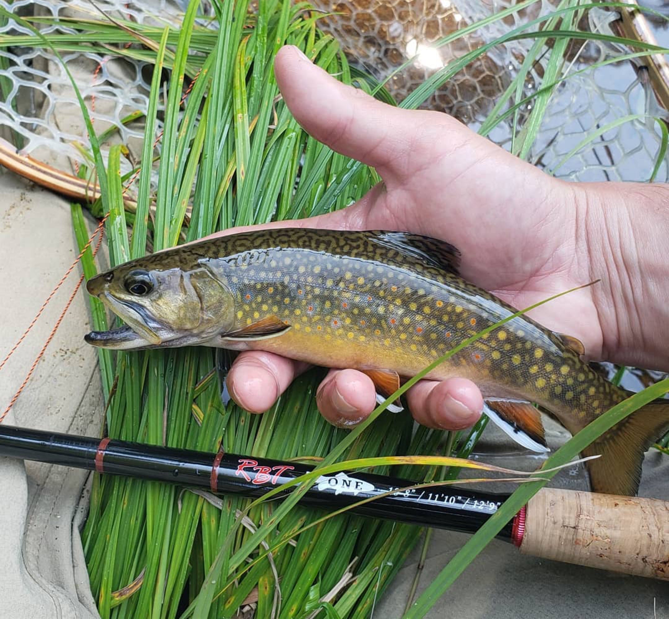 Tenkara Fly Fishing For Trout - The Fishing Website