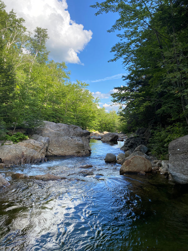 sticker-mountain-stream-brook-trout
